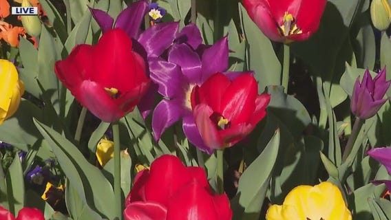 Gibbs Garden festival named nation's best