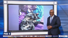 Contest celebrates wackiest pet names