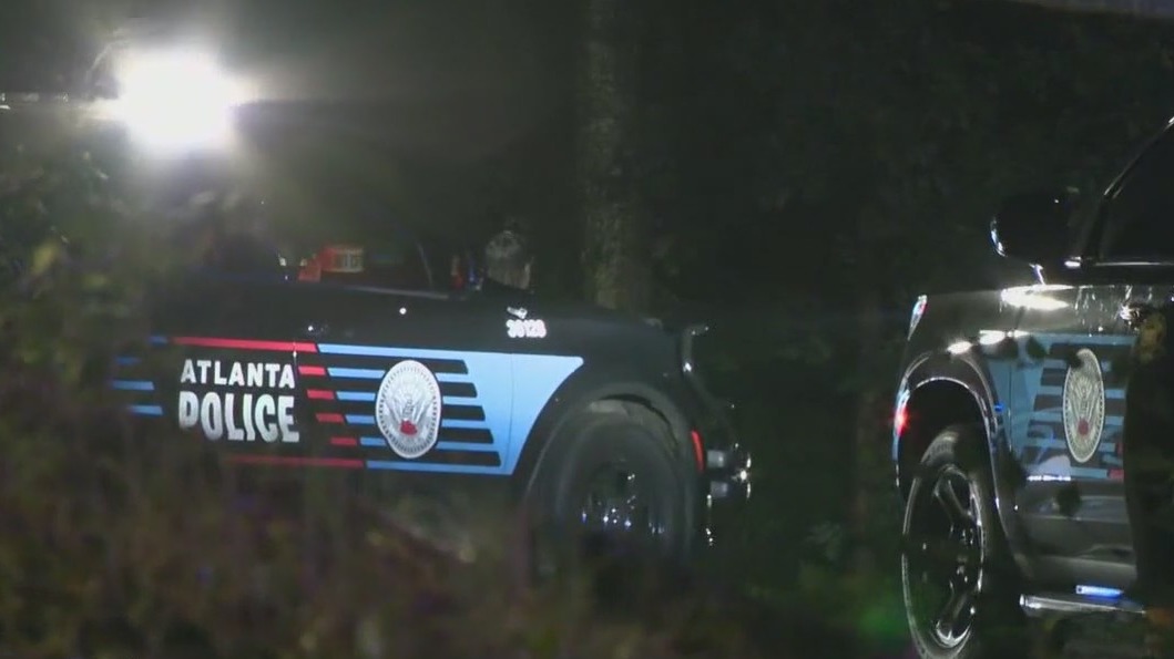 Deadly shooting and fight in Atlanta park | FOX 5 Atlanta