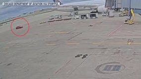 Delivery driver ends up on airport tarmac