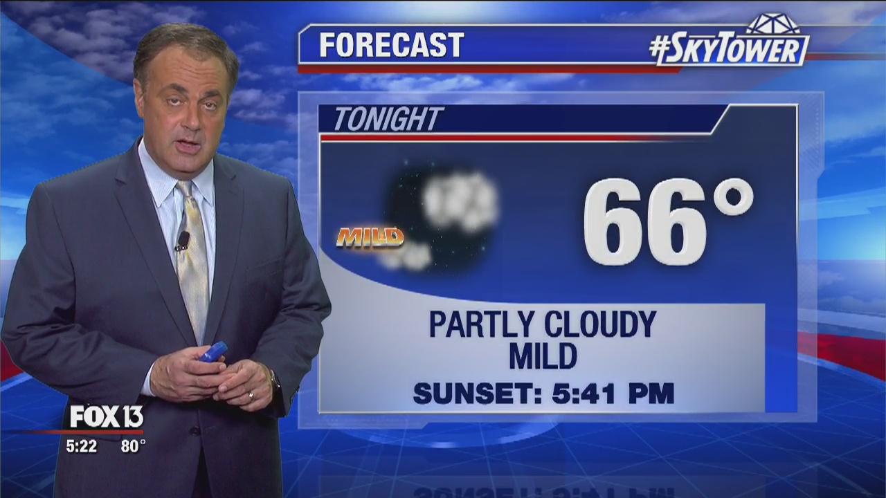 Election Day evening forecast | FOX 13 Tampa Bay