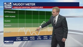 Saturday Morning Weather Forecast