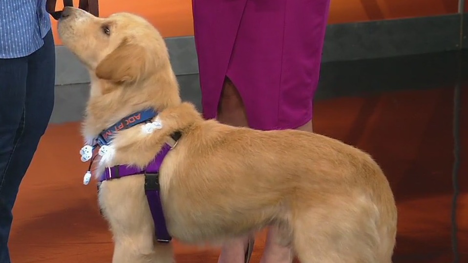 Meet Sunny Blue, Pet of the Day