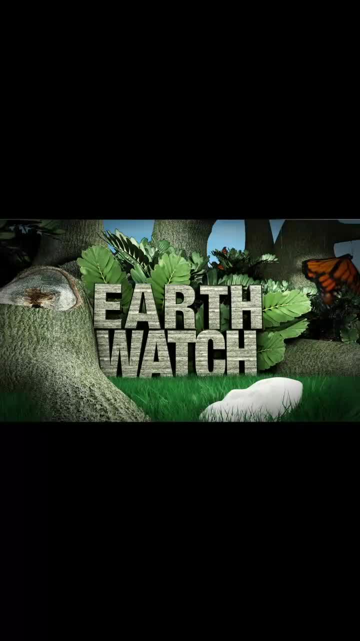 Earth Watch: Eco Cell