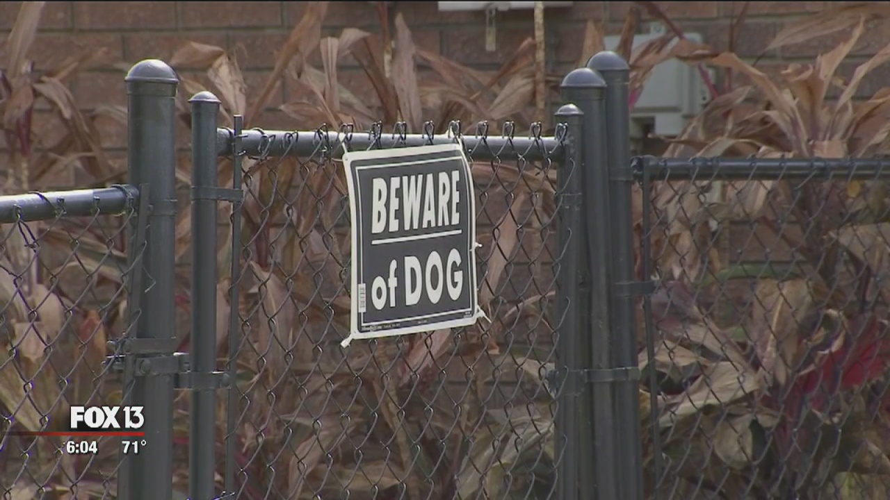 Polk County residents targeted in distraction burglaries | FOX 13 Tampa Bay