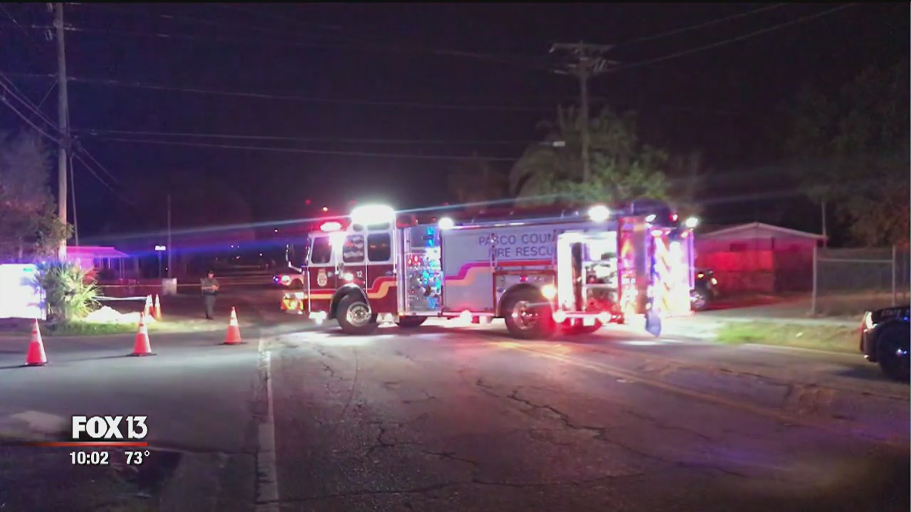 Search continues for hit and run driver | FOX 13 Tampa Bay