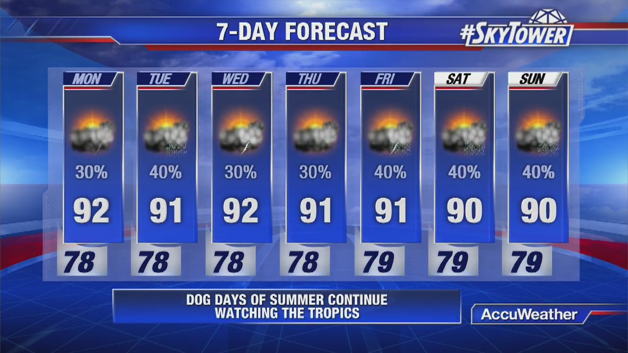 Evening weather | FOX 13 Tampa Bay