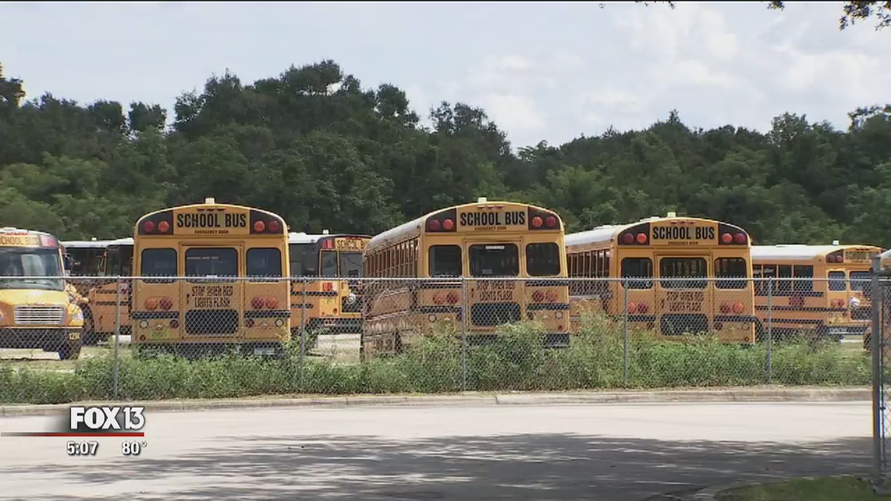 Parents frustrated by bus delays | FOX 13 Tampa Bay