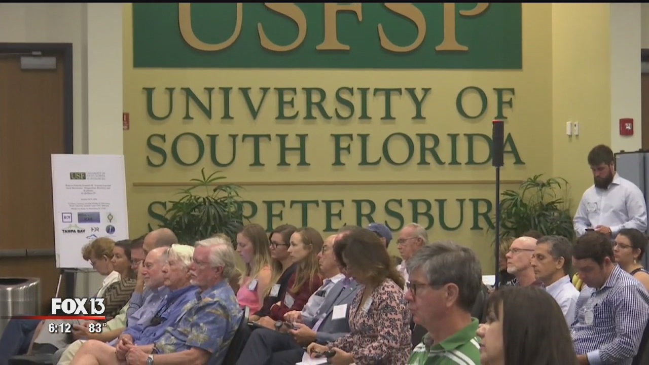 Leaders discuss lessons learned from the storm | FOX 13 Tampa Bay