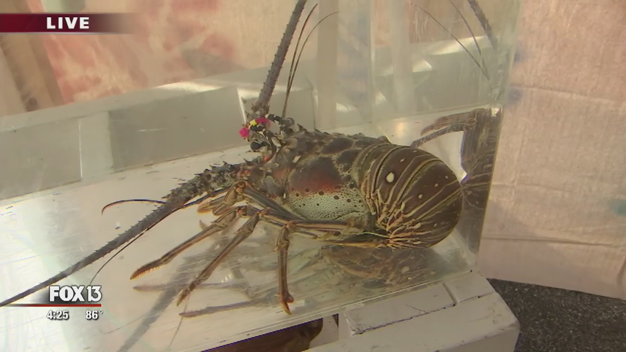 MarineQuest marks 25th anniversary