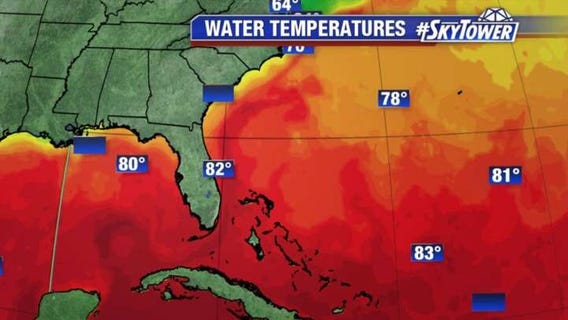 Saturday morning tropics