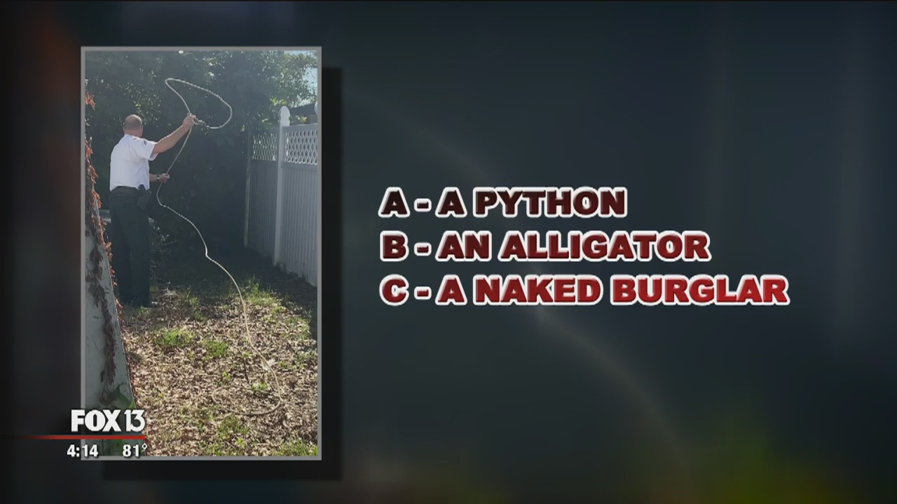 Only in Florida: More animals than you can shake a lasso at