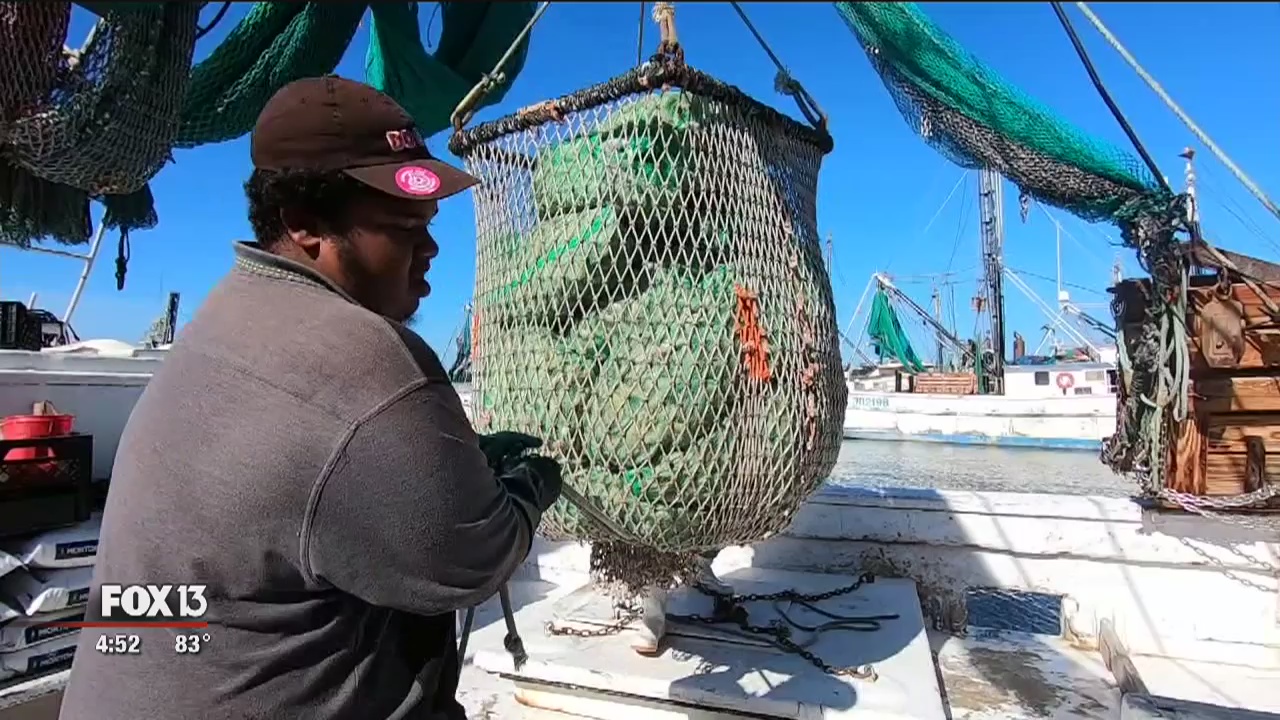 Down on the shrimp docks