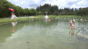 Mystical waters of Warm Mineral Springs Park has become a place of healing
