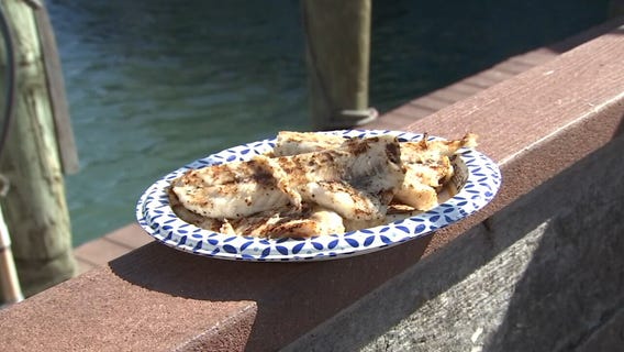 Good Day Gourmet: Grilled Mangrove Snapper