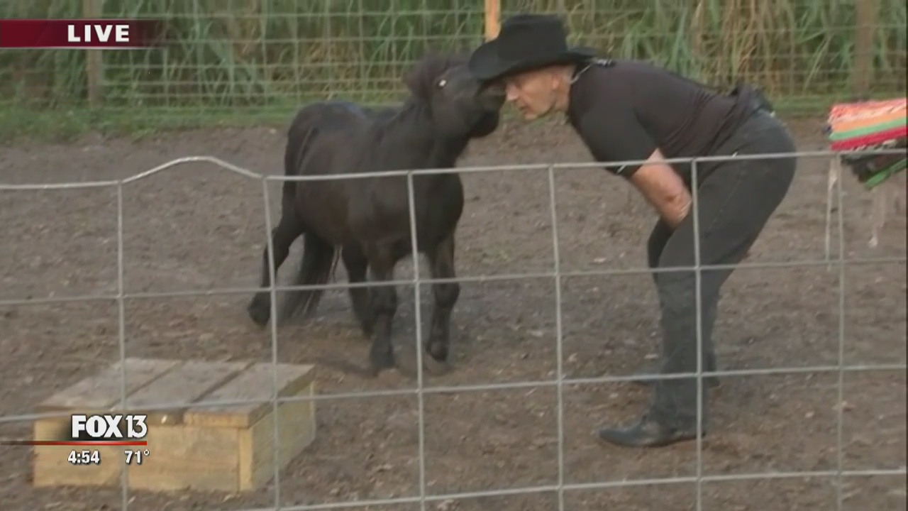 On the farm with FOX 13's Ken Suarez