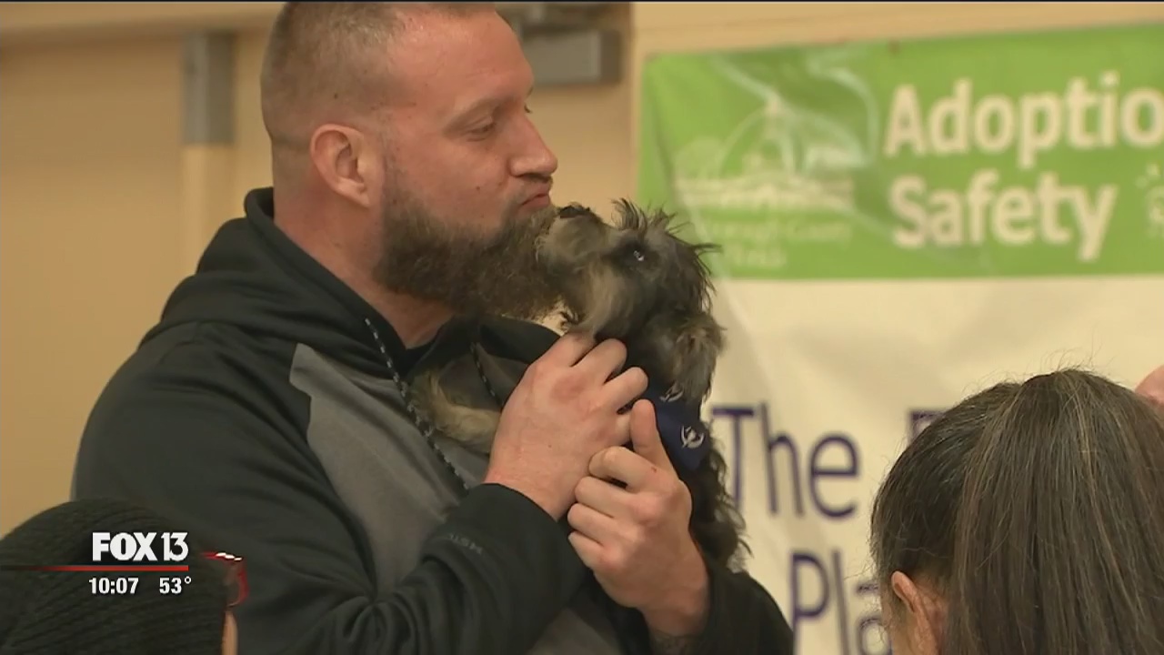 Adoption day for rescued dogs | FOX 13 Tampa Bay