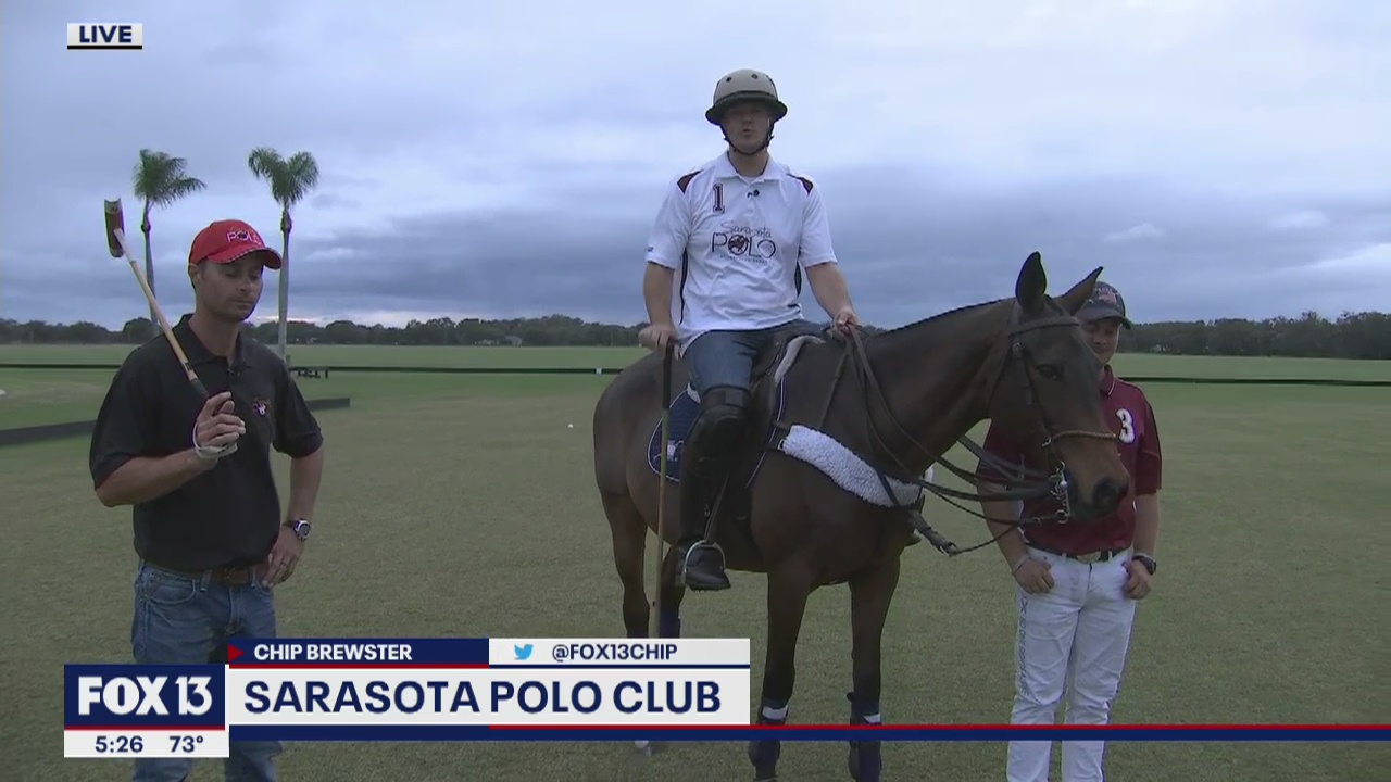 Galloping into polo season