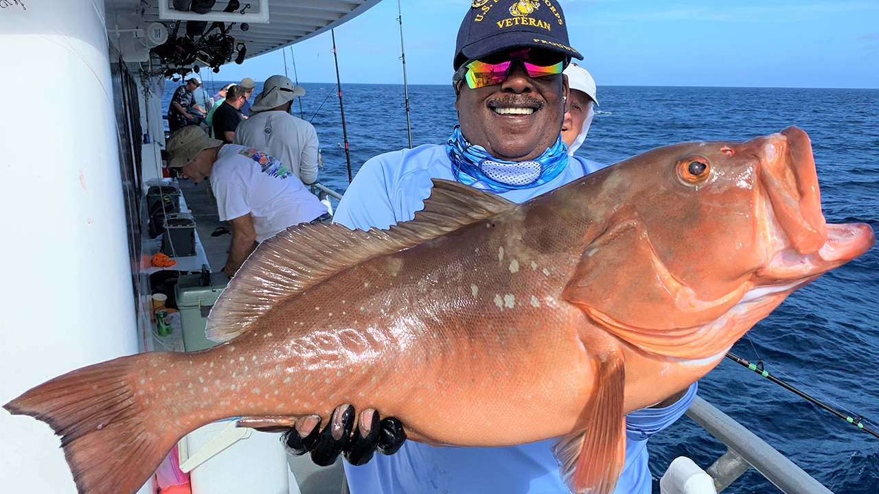 Good Catch: You can get some great action with snapper species | FOX 13 ...