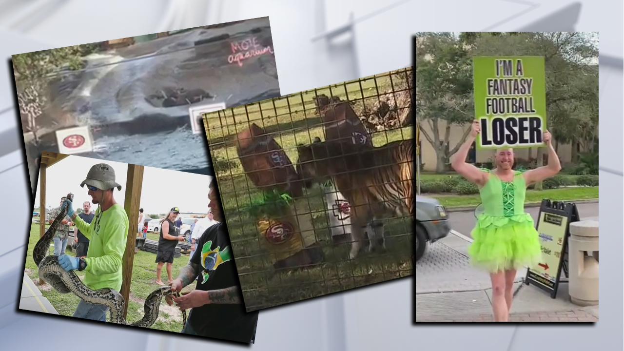 Only in Florida: Animals catch football fever ahead of Super Bowl