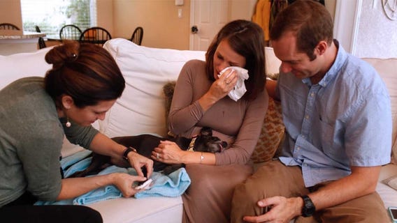 Mobile vets in Bay Area offer in-home euthanasia