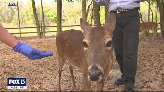 Where class is outside every day