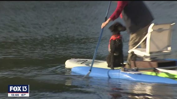 Expandacraft kits help build watercrafts to your liking