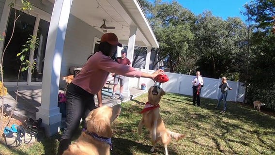 Watch: The full FOX 13 'Golden Bowl'