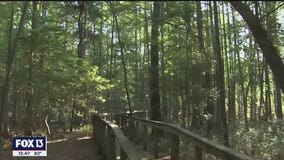 Florida WildQuest kicks off Saturday at Chinsegut Conservation Center