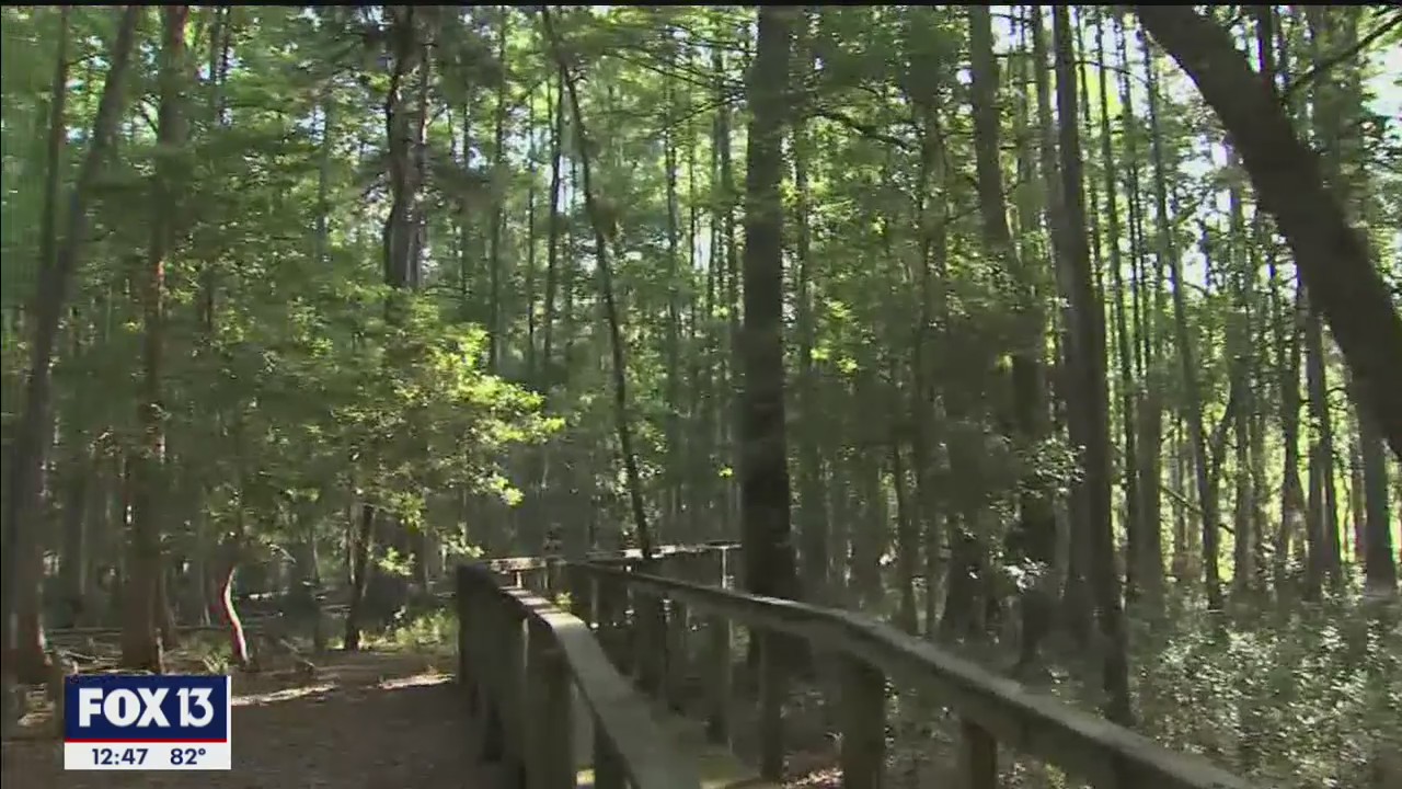 Florida WildQuest kicks off Saturday at Chinsegut Conservation Center
