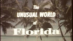 The 'Unusual World of Florida' in 1964