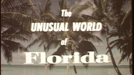 The 'Unusual World of Florida' in 1964