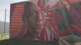 St. Pete SHINE Mural Festival art