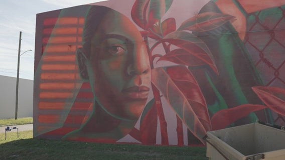 St. Pete SHINE Mural Festival art