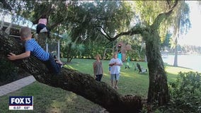 Safe haven for foster children