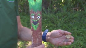 Outdoor camps for kids kicking off in St. Pete