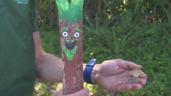 Outdoor camps for kids kicking off in St. Pete