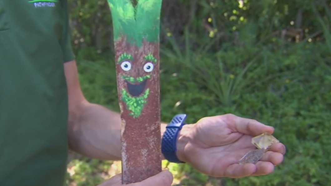 Outdoor camps for kids kicking off in St. Pete