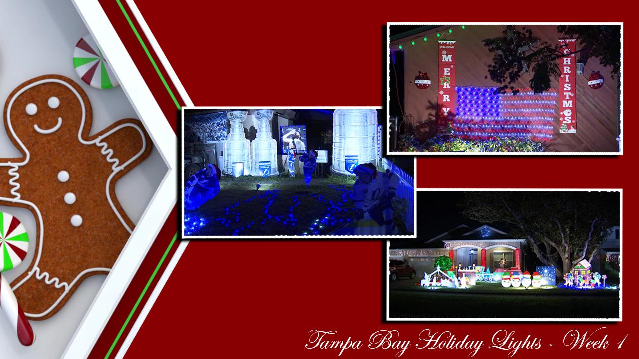 Bay Area Holiday Lights - Best of Week 1