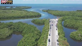 Drone Zone: Cockroach Bay