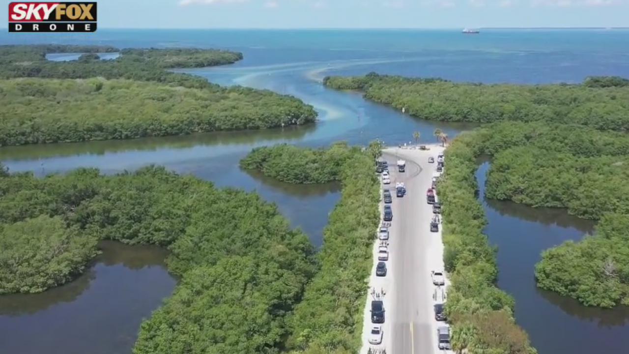Drone Zone: Cockroach Bay