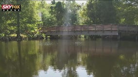 Unexpected beauty at Moccasin Lake Nature Park