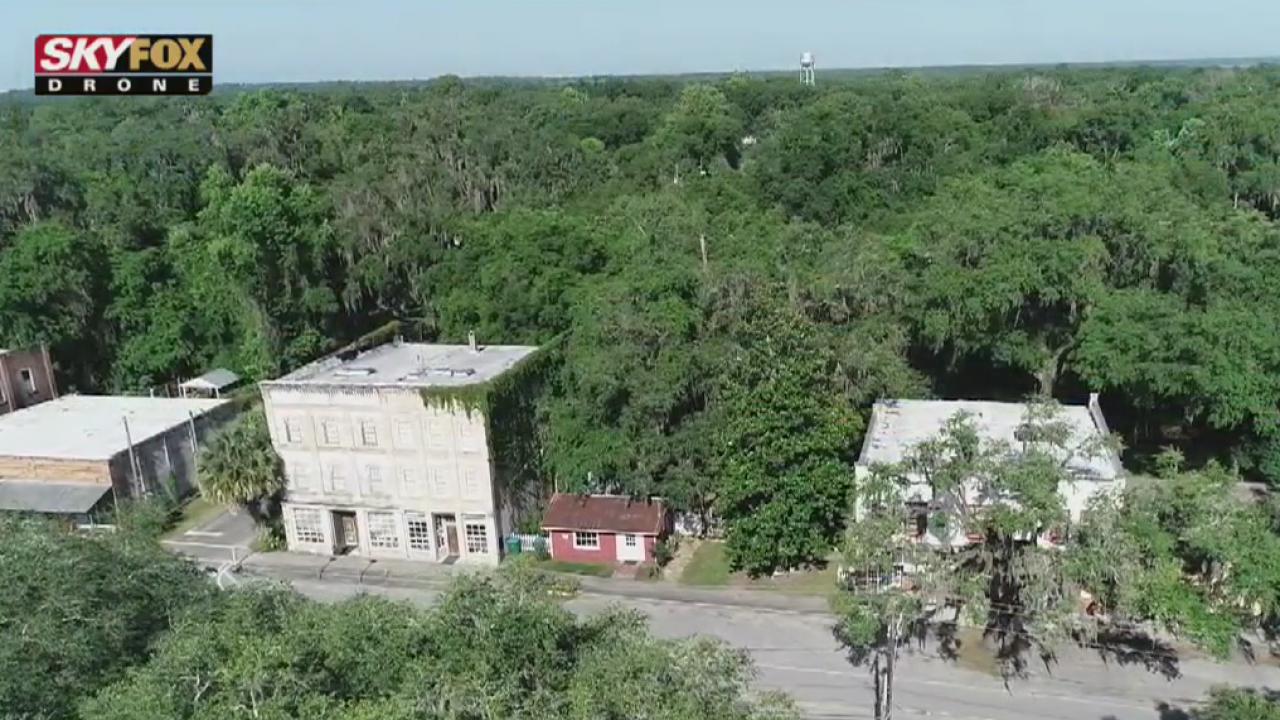 Drone Zone: Micanopy, Florida
