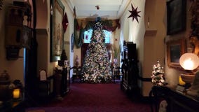 Enjoy a Victorian Christmas at UT's Henry Plant Museum