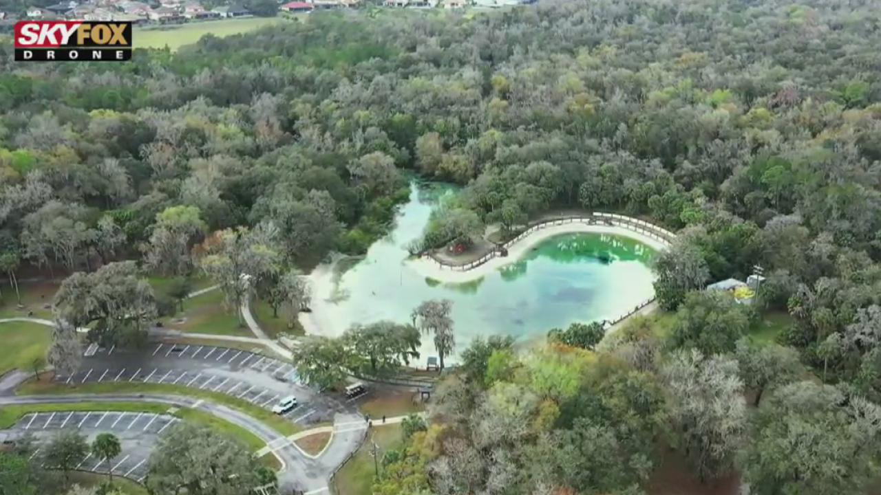 Drone Zone: Lithia Springs Park is Hillsborough's hidden gem