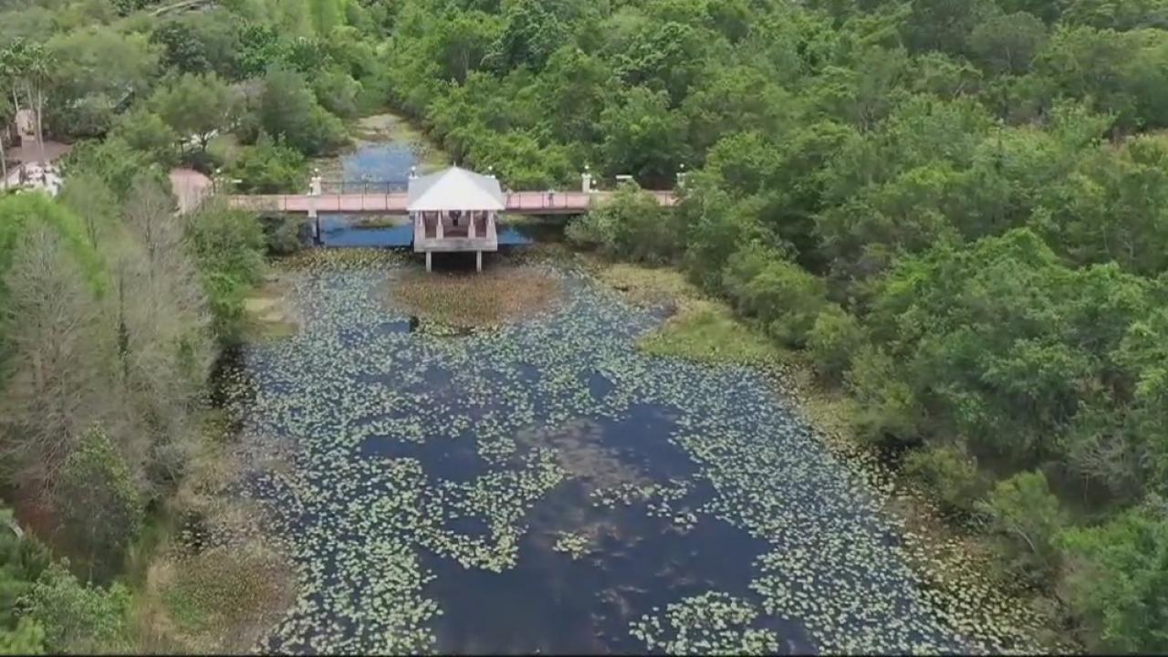 Above the Florida Botanical Gardens