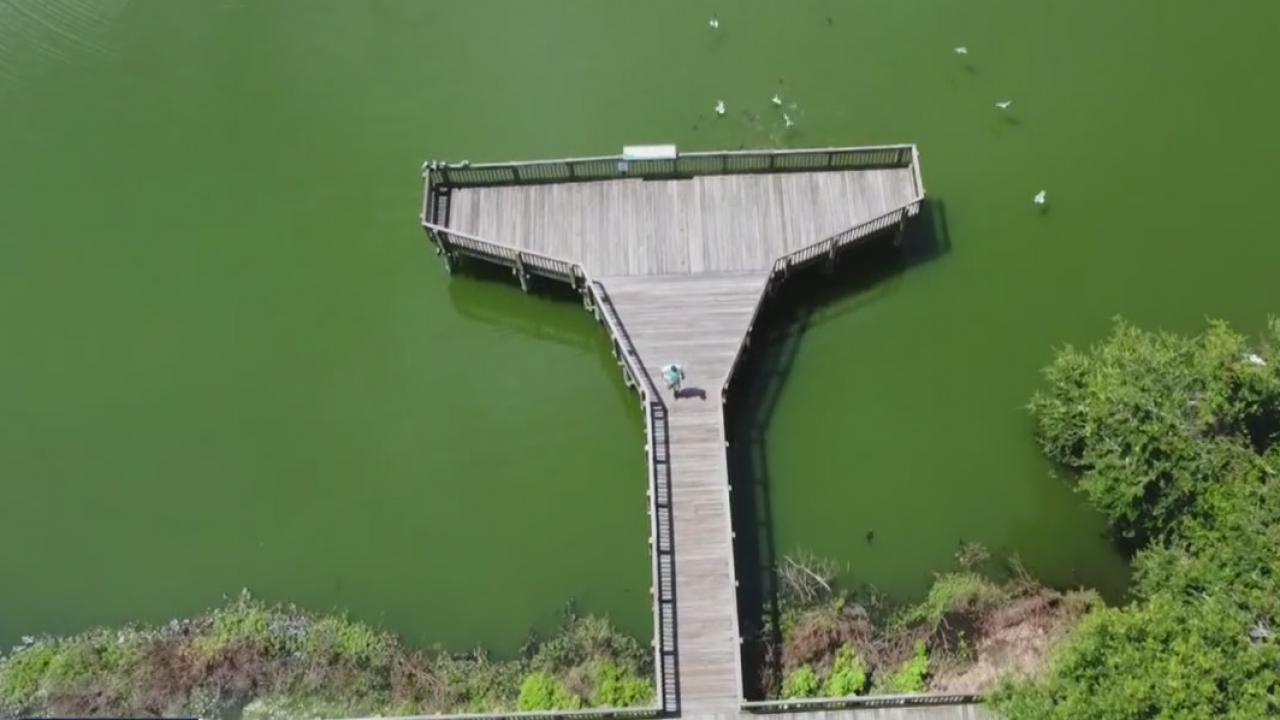 Drone Zone: Eagle Lake Park