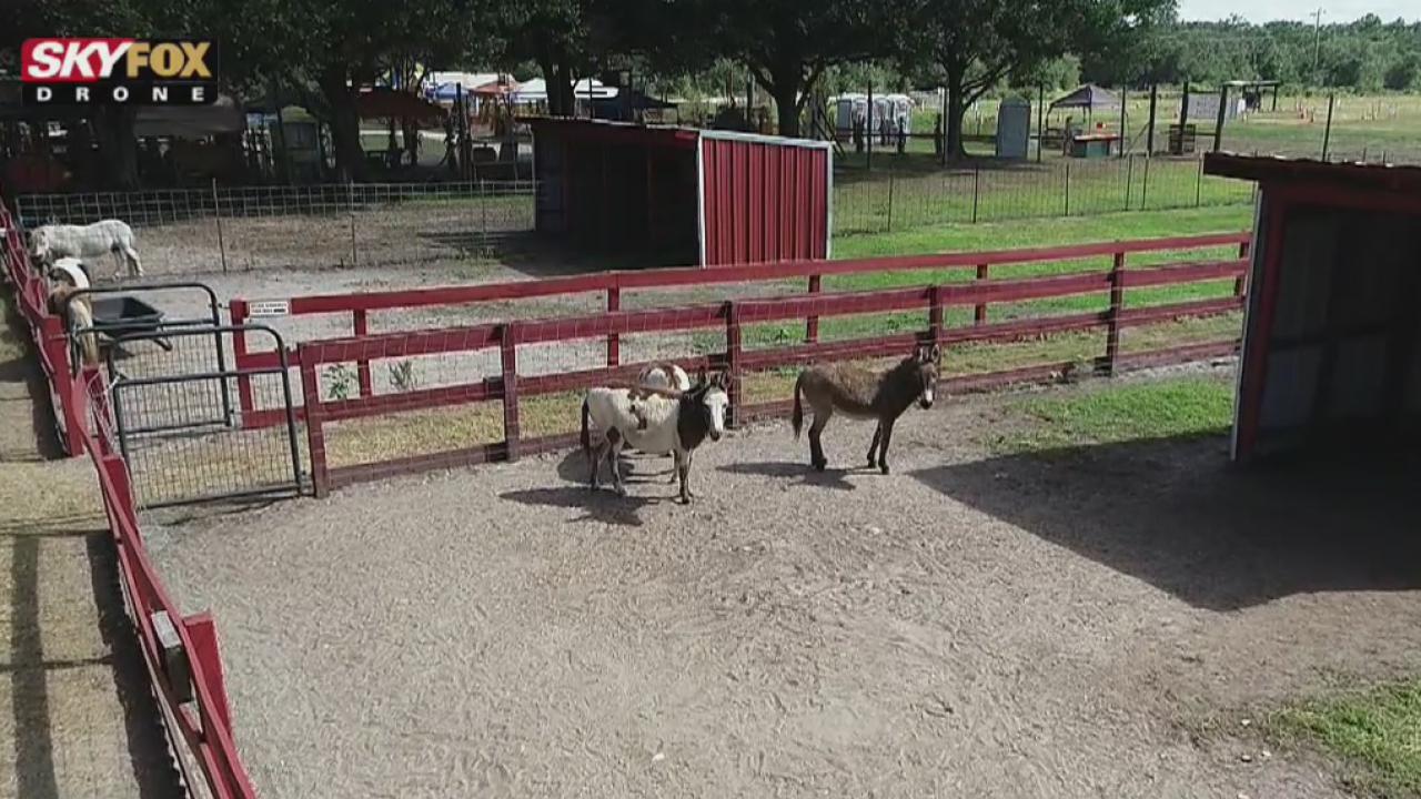 Drone Zone: Hunsader Farms