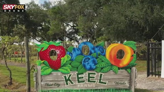 Drone Zone: Keel and Curley Farms and Winery