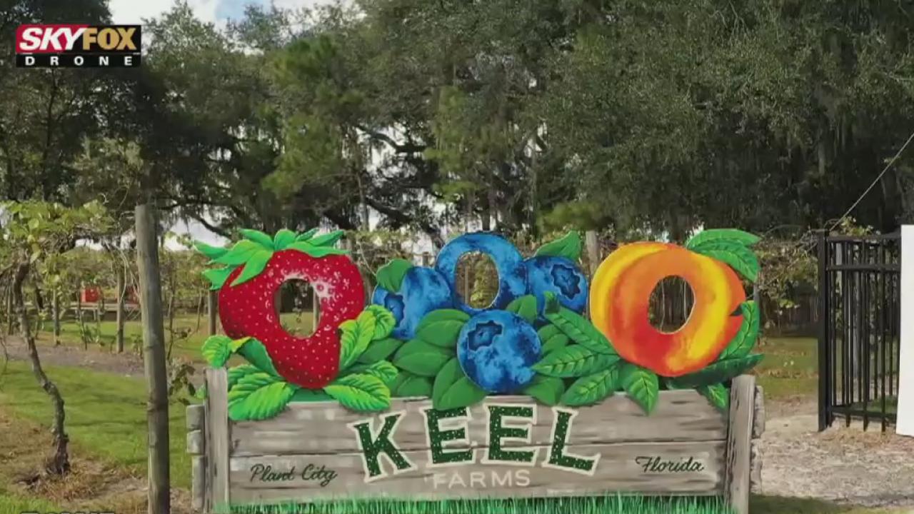 Drone Zone: Keel and Curley Farms and Winery